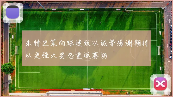 米特里策向球迷致以诚挚感谢期待以更强大姿态重返赛场